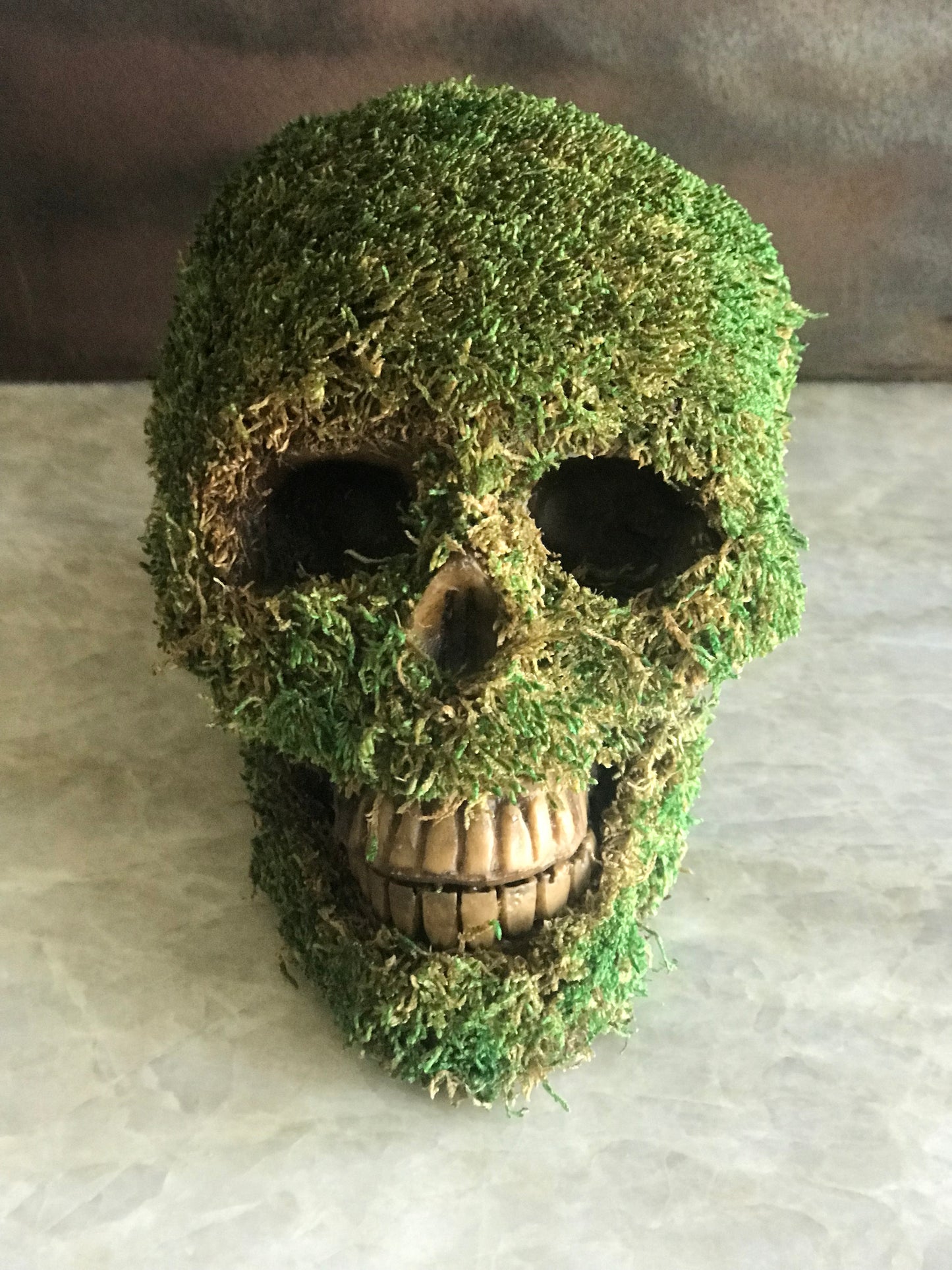 Chocolate Skulls